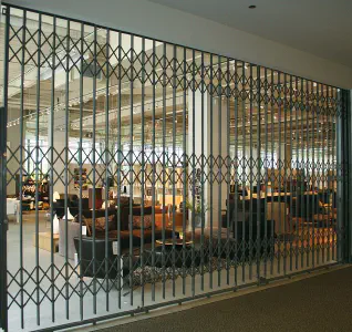 Retractable security grille - FLEXIDOOR SA - for doors / for windows / for  store fronts